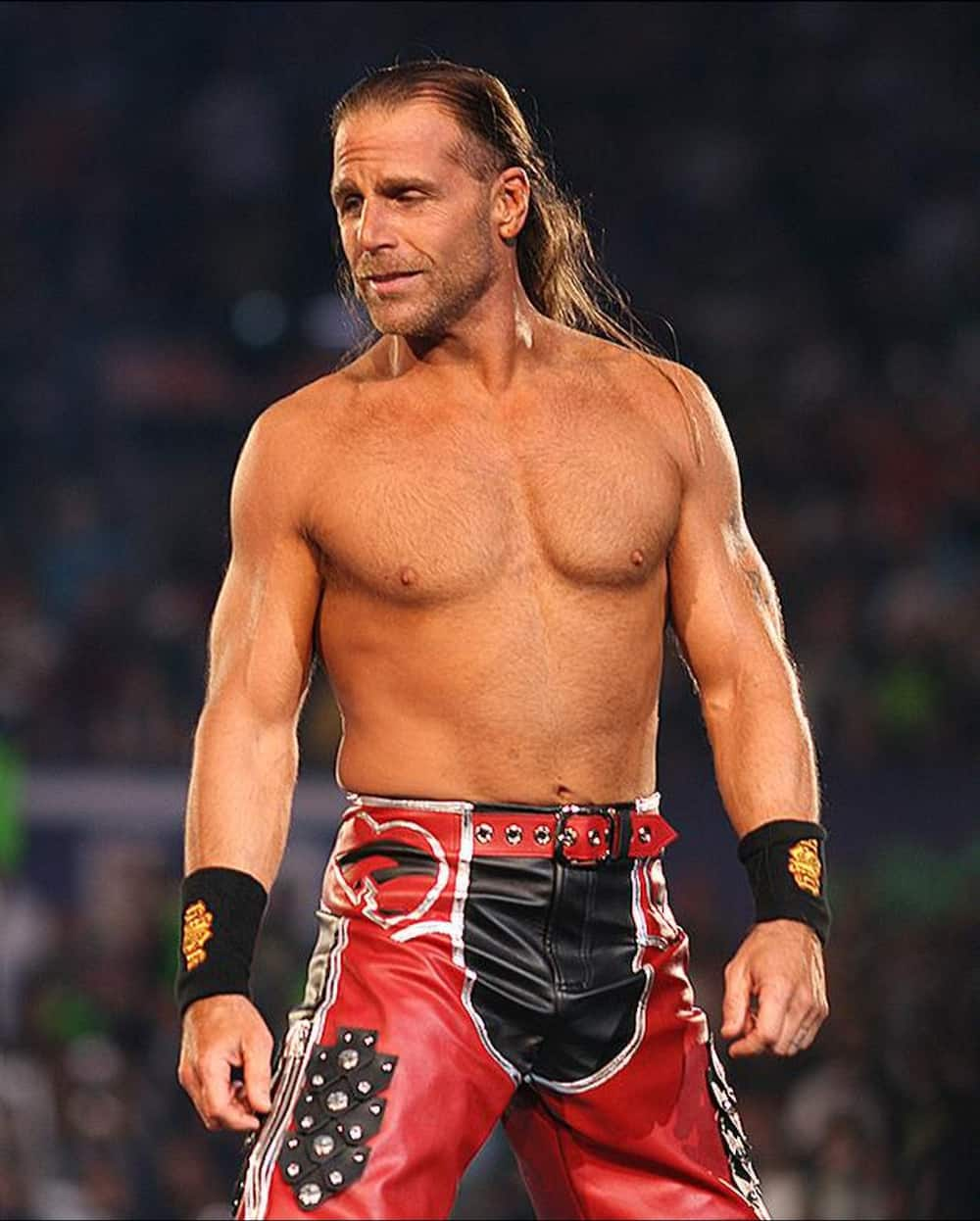 Shawn Michaels: Facts Only Hardcore Fans Know About The Heartbreak Kid