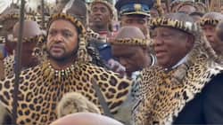Video shows Cyril Ramaphosa and King Misuzulu singing together at Zulu king crowning ceremony, SA reacts