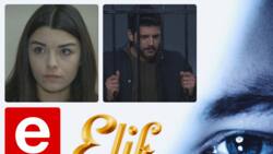 Elif 2 Teasers for January 2022: Elif takes care of Inci but at what cost?