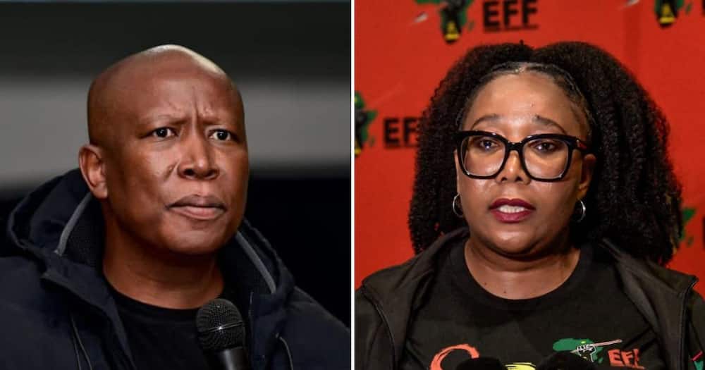 EFF wants the US ambassador to SA removed