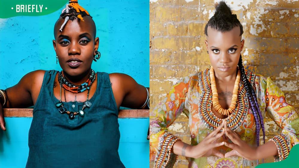 Toya Delazy's biography Toya Delazy's biography