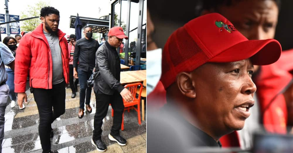 EFF leader, Julius Malema, visits restaurants, check how many South Africans have been hired, "hire locals