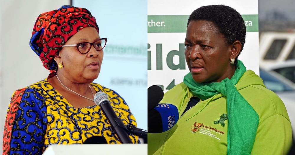 Bathabile Dlamini, defence minister Nosiviwe Mapisa-Nqakula, insurrection