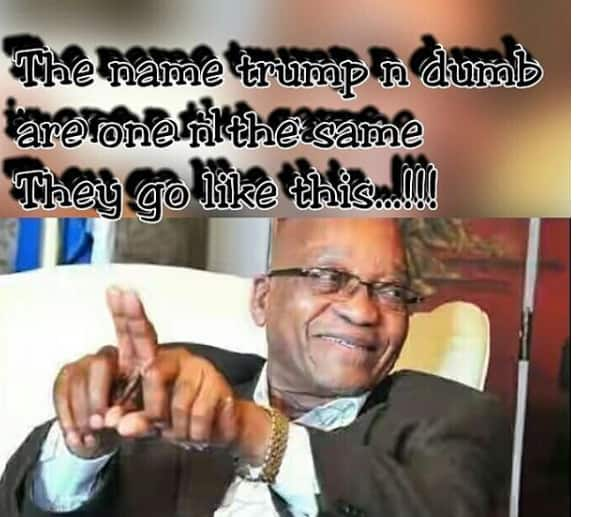 funny Zuma memes