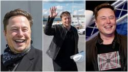 Elon Musk set to become the world's 1st dollar trillionaire ever, bank predicts