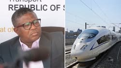Minister of Transport Fikile Mbalula said plans are in motion to introduce high speed trains in South Africa