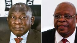 ATM slams Cyril Ramaphosa for appointing Raymond Zondo as SA's new Chief Justice: "Go jump"