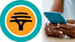FNB WhatsApp number, email, credit card contact, contact details, address