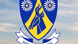 List of schools in Hartbeespoort and their contact details (2024)