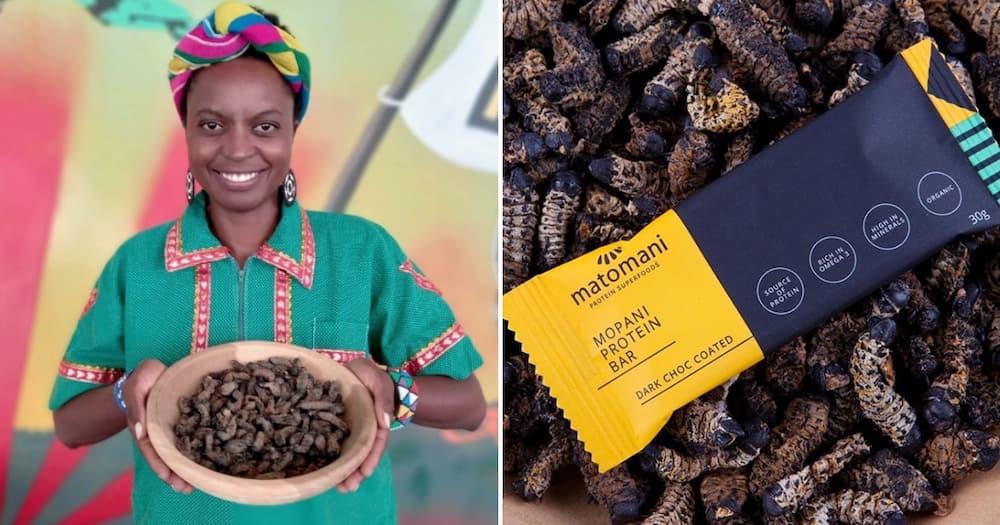 A businesswoman makes various food products from mopane worms