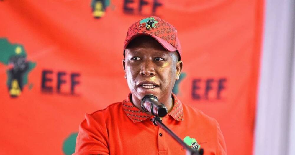 Malema, Economic Freedom Fighters, IEC, donations, over 100k