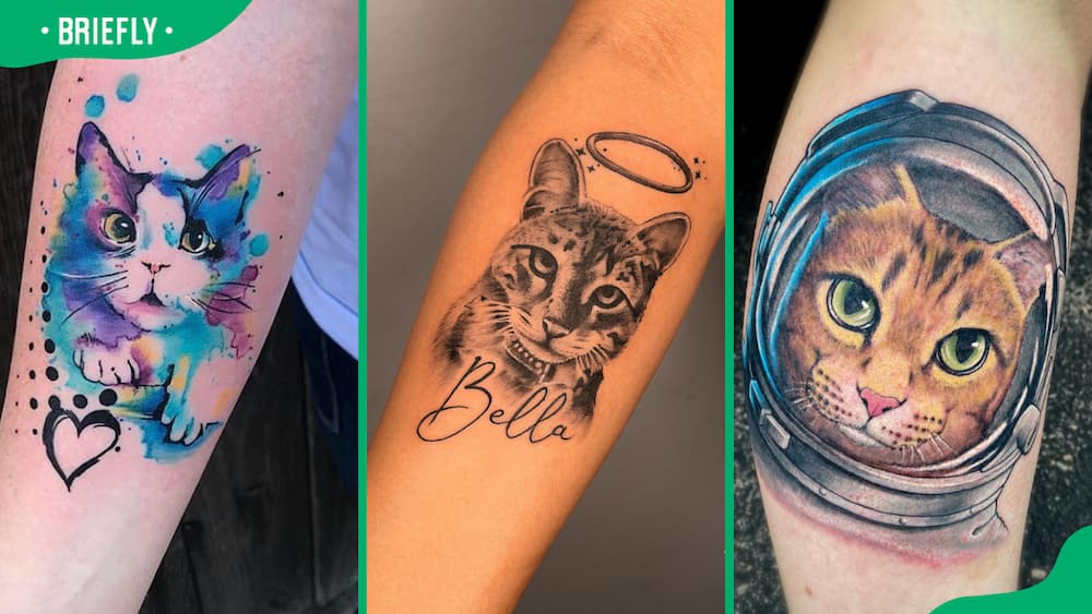 The watercolour cat tattoo (L), cat name tattoo (C), cat astronaut in space (R)