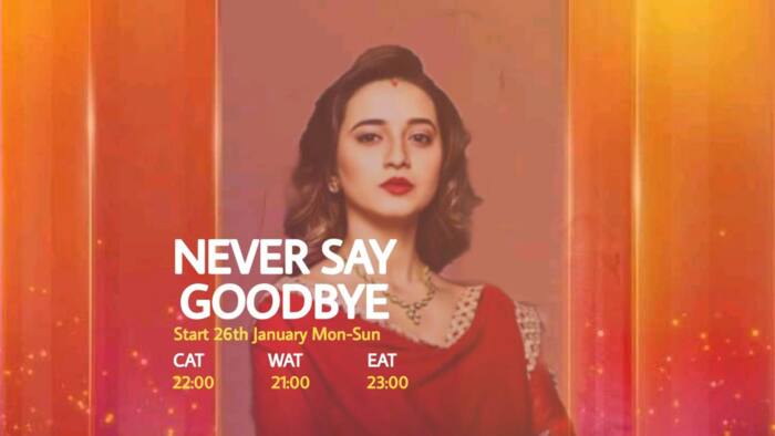 New! Never Say Goodbye Teasers for January 2022