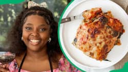 4 best South African lasagne recipes: How to make lasagna at home