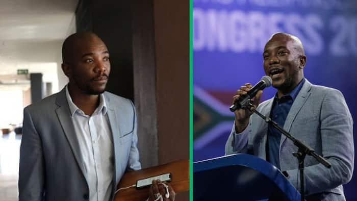 Western Cape court forces Mmusi Maimane to pay R400k for defaming 4 Cape Town officials in 2018