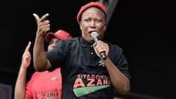 Julius Malema busts major dance moves for his late grandmother in video