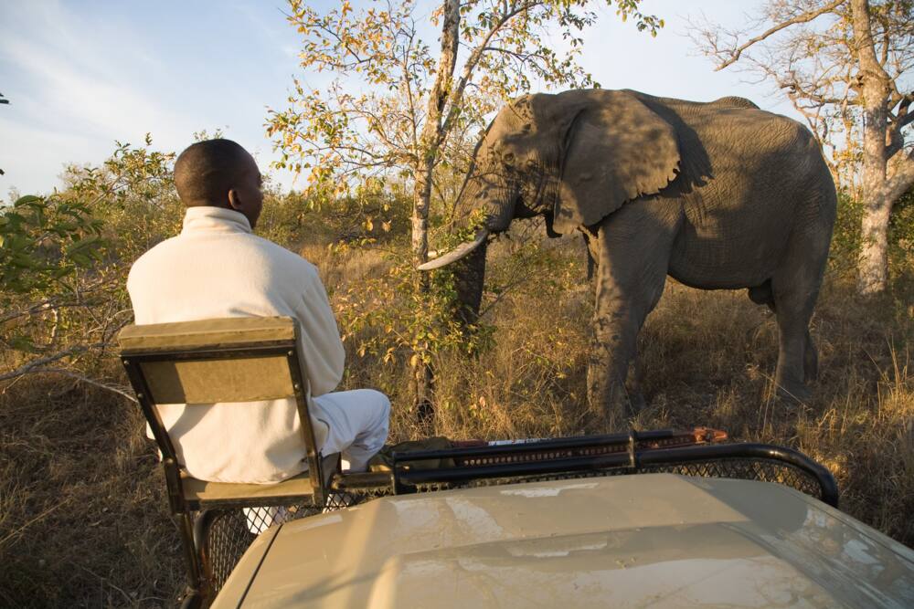 Do I need to book for Kruger National Park?