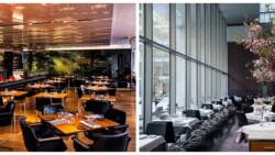 List of top 15 most expensive restaurants in NYC ranked (2023)