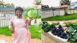 "Wow": Woman hawking fresh veggies on side of the road beams with pride, SA salutes