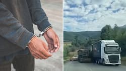 Hero or zero: Viral truck driver arrested after endangering motorists amid calls for confiscation of his licence