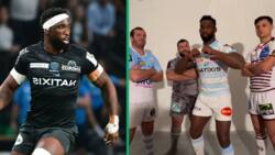 Springbok skipper Siya Kolisi joins in TikTok dance craze alongside Top 14 rugby stars