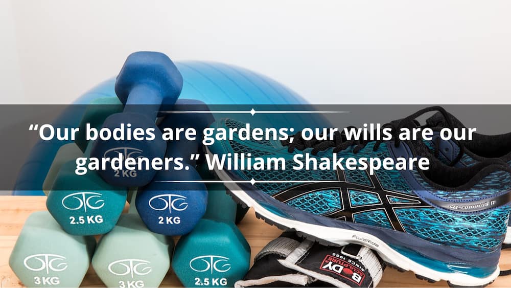 Famous gym quotes