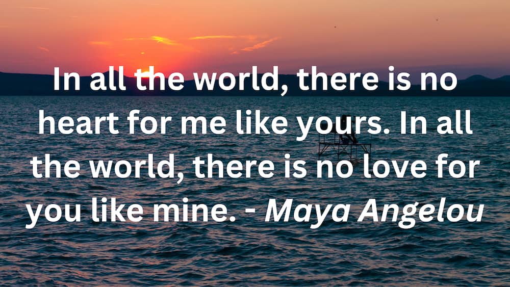 true love quotes true love quotes