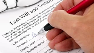 what does a deed of transfer look like