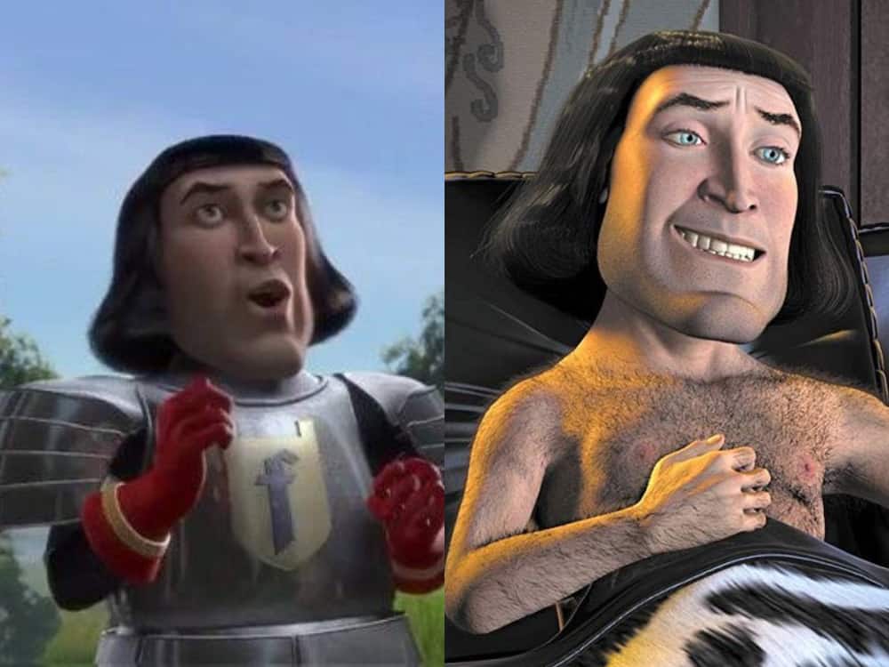 Lord Farquaad in a discussion