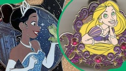 20+ rare Disney pins list: How much are they worth in 2024?