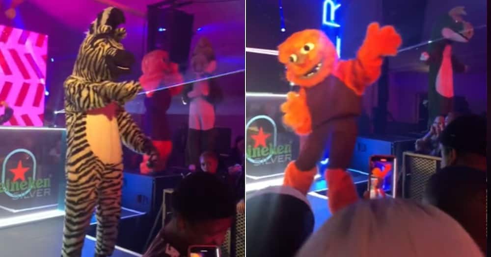 TikTok video of mascots dancing to amapiano had many loving it
