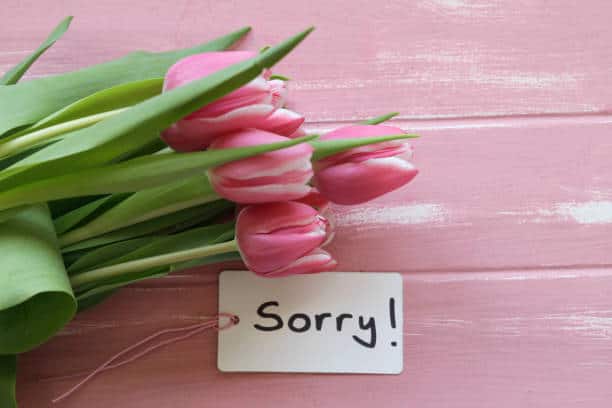 What is the best apology message?