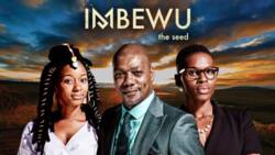 Imbewu Teasers for January 2022: Zithulele is not the father!