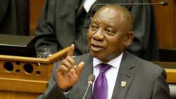 "Expect empty promises": South Africans share some of the topics they hope Ramaphosa will address at SONA