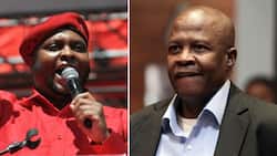 Floyd Shivambu wants Brian Molefe back as Eskom CEO, sparking anger from South Africans: “Absolute nonsense”