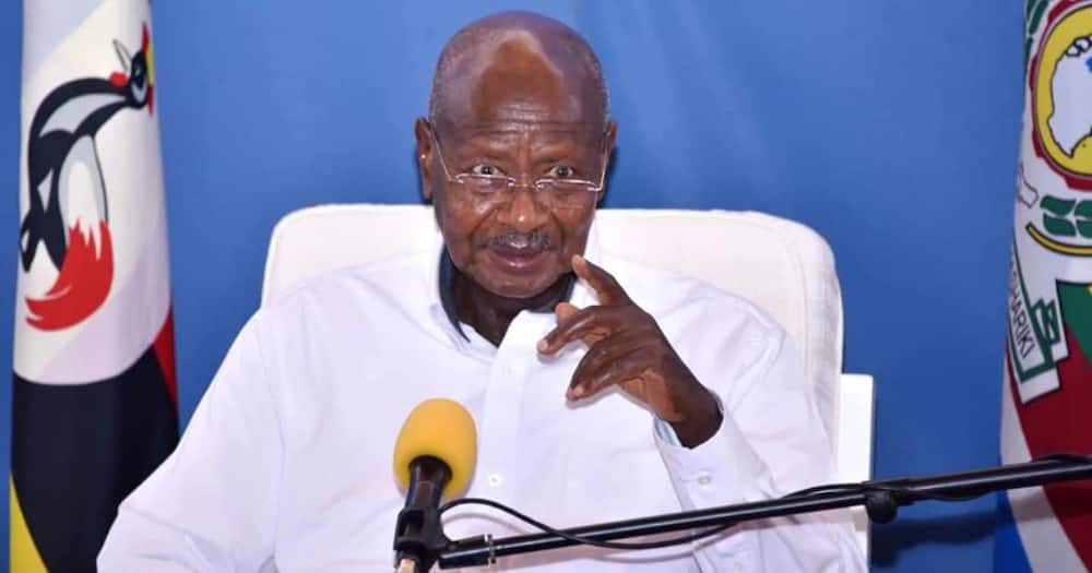 Uganda elections 2021: All you need to know ahead of polls on Thursday