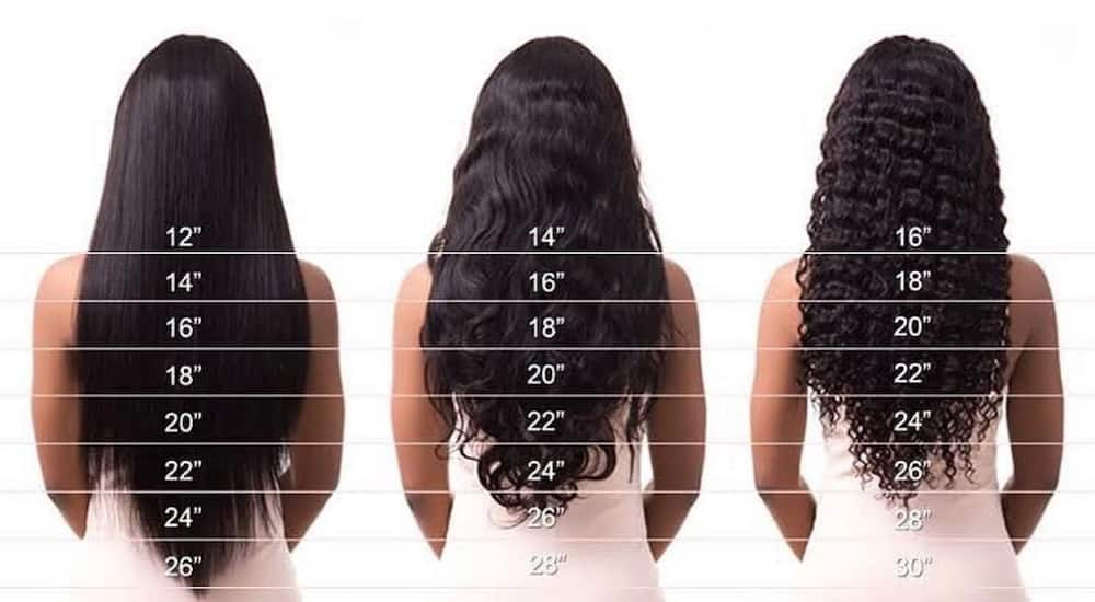 Hair length chart