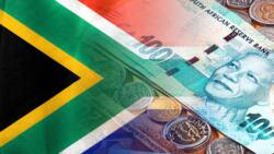What is an FNB bounce back loan? And what are its offerings?