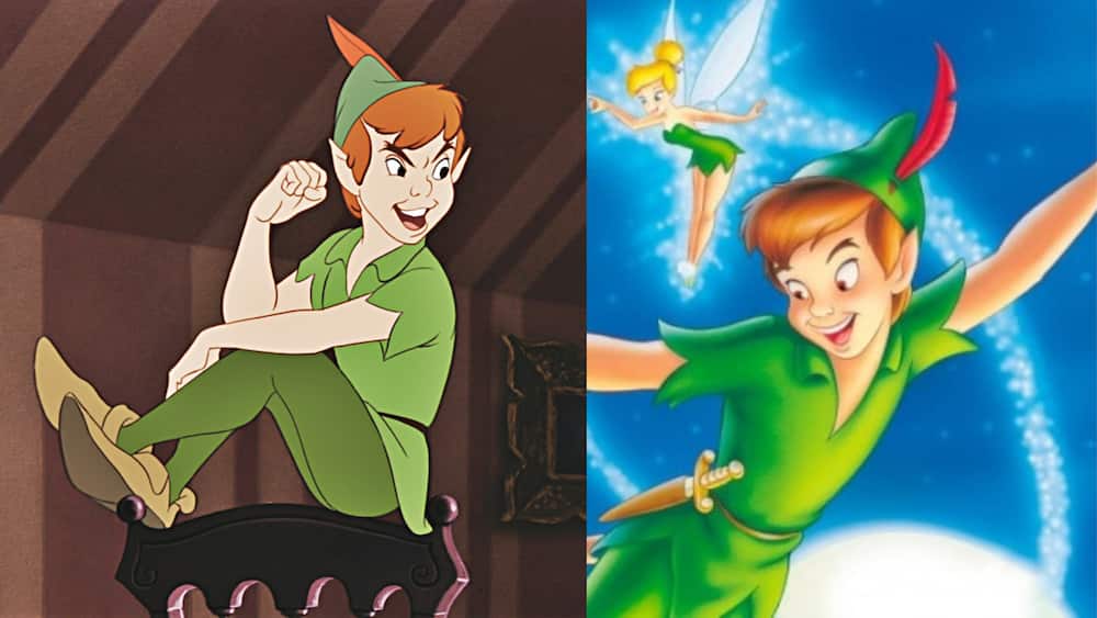 Peter Pan with his friend Tinker Bell