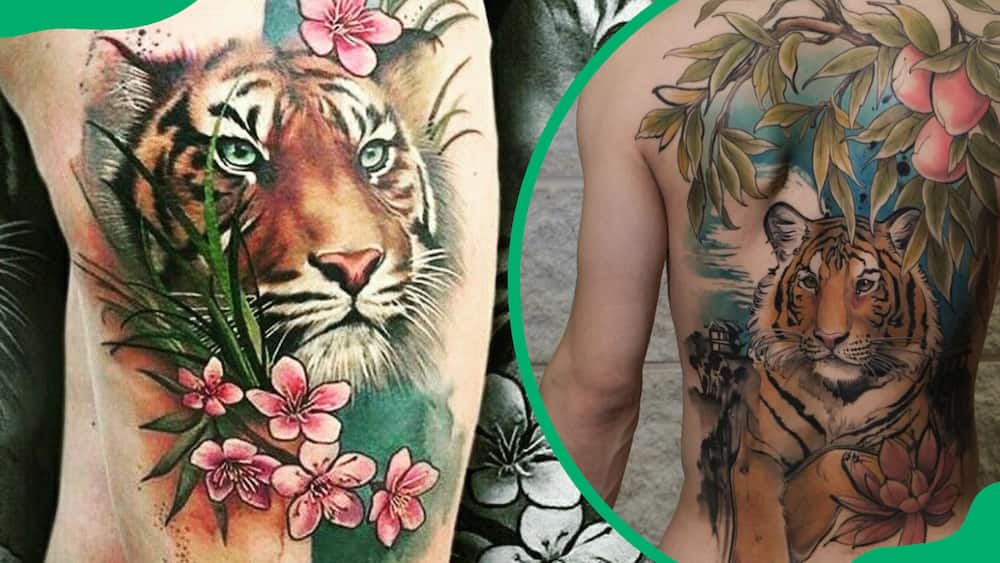 Tiger and Lotus Flower tattoo