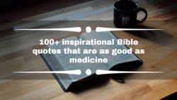 100+ inspirational Bible quotes that are as good as medicine