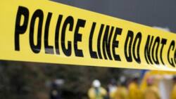 14 People killed in two separate alleged drug-related attacks in KwaZulu-Natal