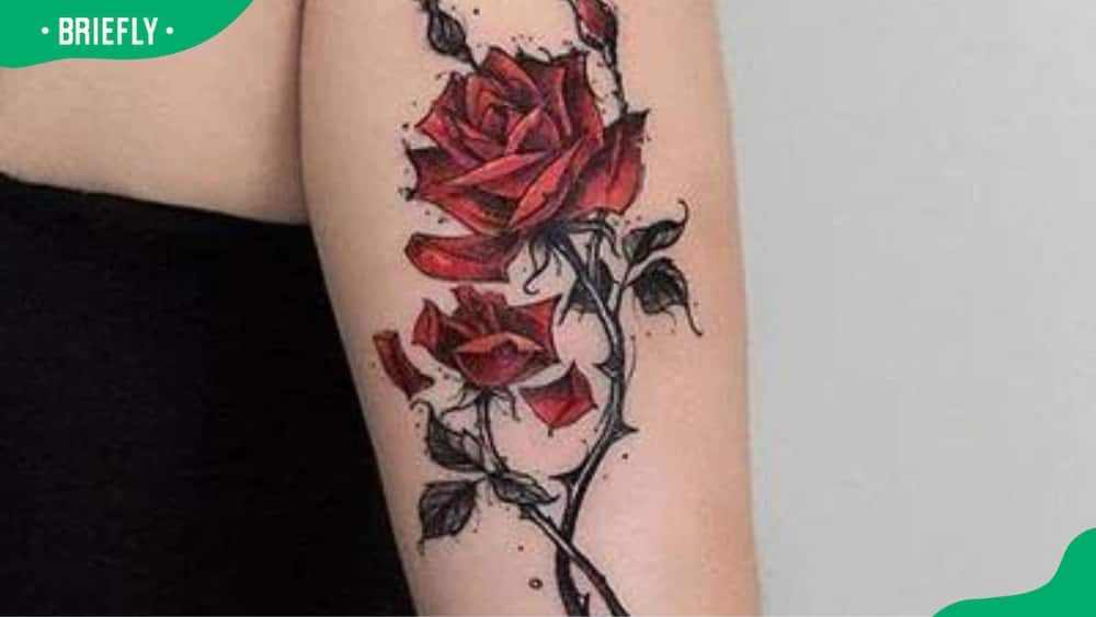 Rose with thorns tattoos