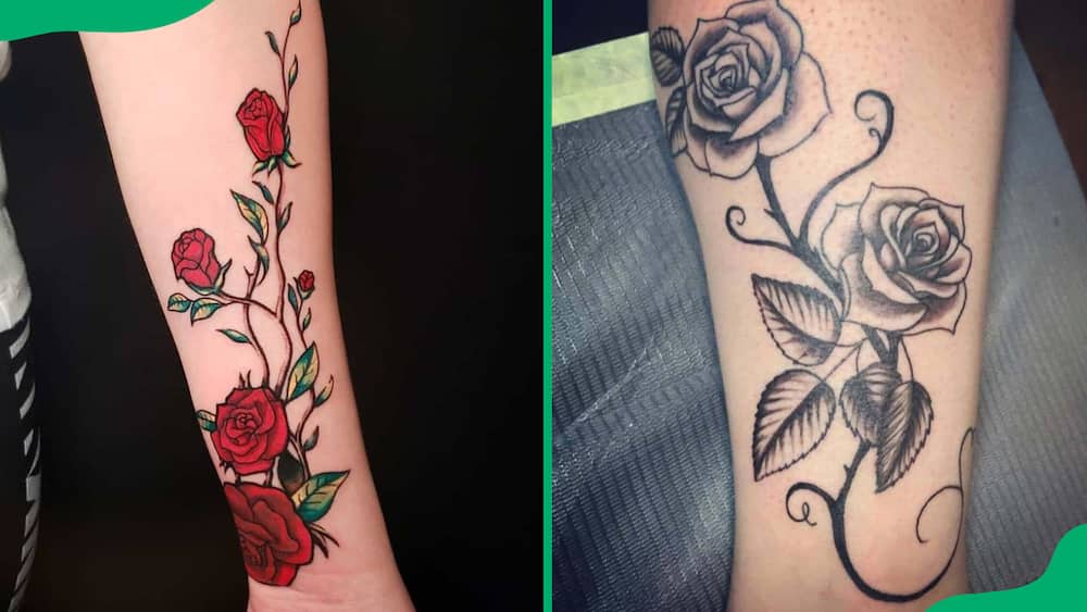 Rose vine tattoos