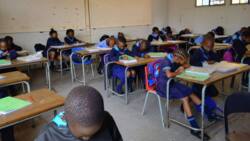 NAPTOSA raises alarm: Public schools grapple with severe overcrowding crisis