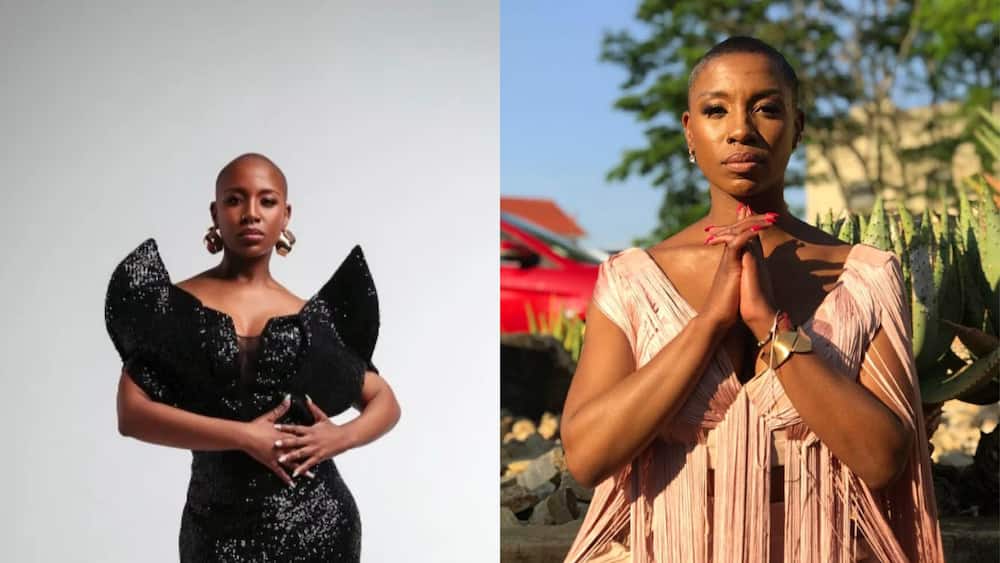 south african celebrities who died south african celebrities who died