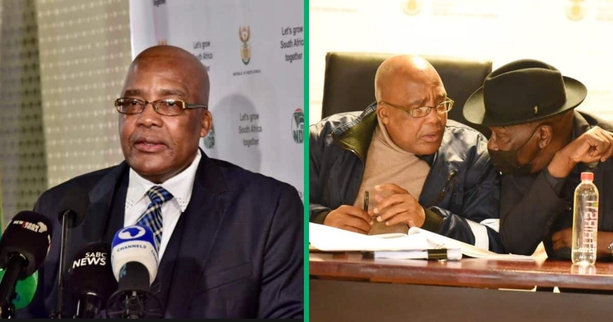 Minister Motsoaledi demands SIU inquiry into North West CFO's fake residence permit