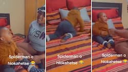 Boy who asked for a Spiderman cake left heartsore after mom tells him the hero passed away, SA reacts to prank