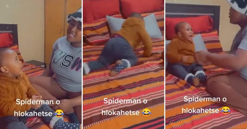 Spiderman, South Africa, Children, Mzansi, Parenting, Boy, Spiderman Cake, Heartsore, Mom, Tells Him Hero Passed Away
