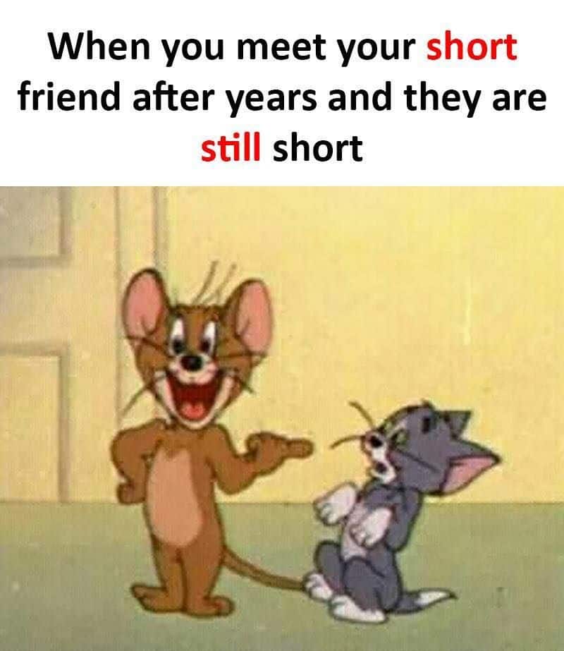 short people jokes